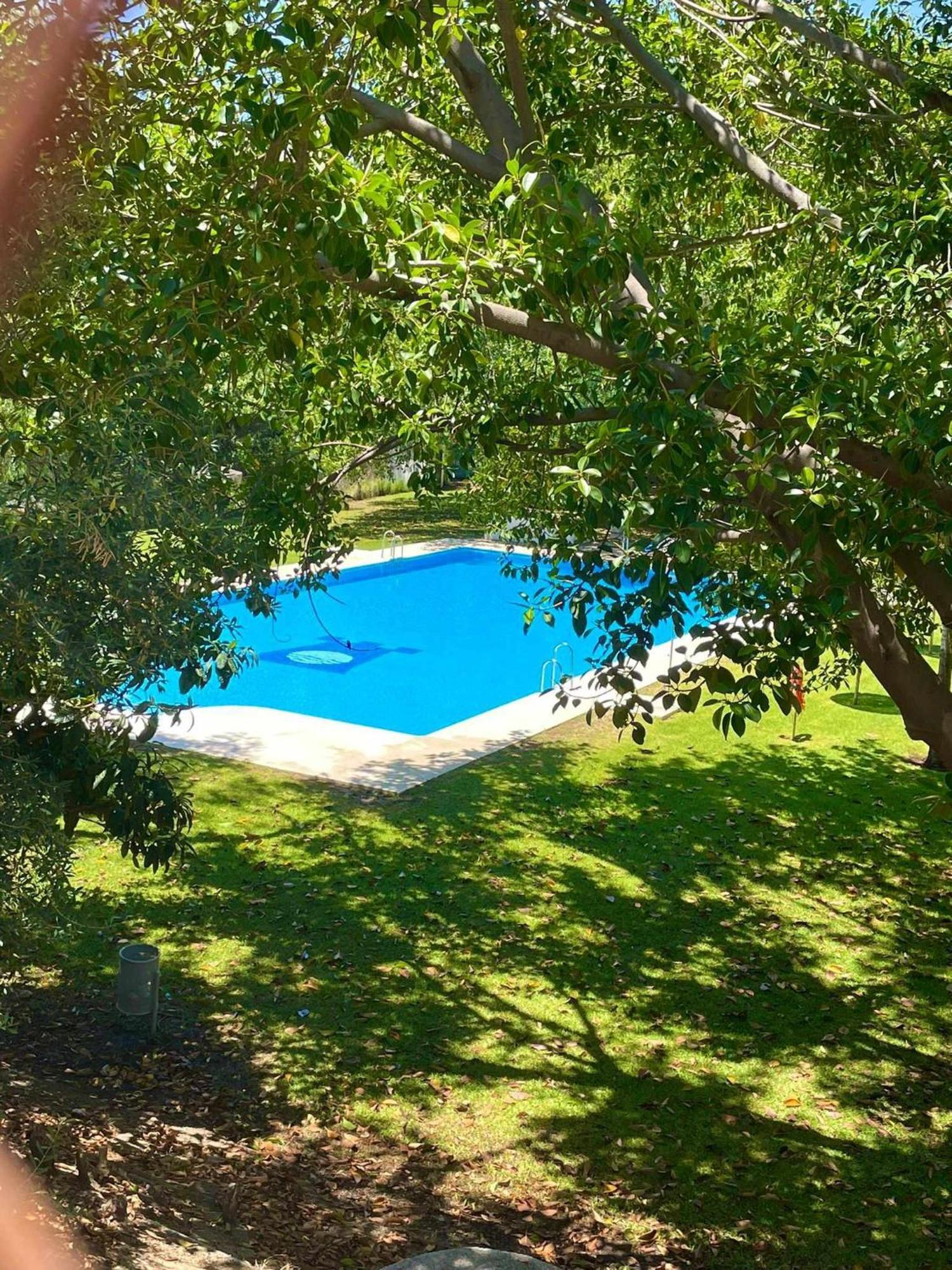 VillaEscondidaPrecioso estudio con vista al mar y piscina Málaga Exterior foto